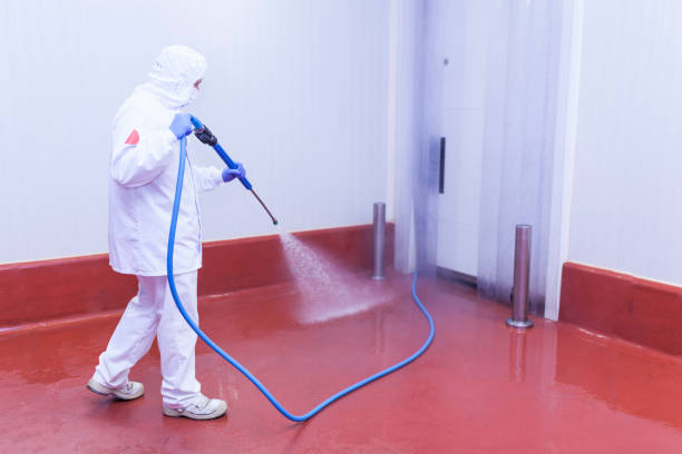  Wray, CO Pressure Washing Pros
