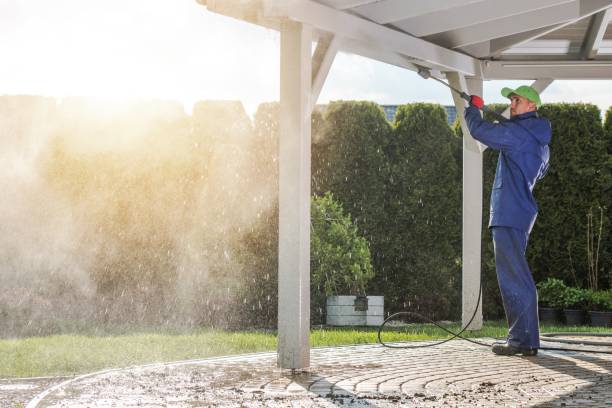Best Driveway Pressure Washing  in Wray, CO
