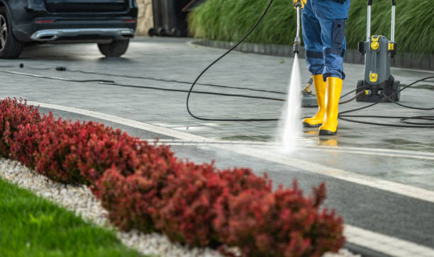 Best Fence Cleaning  in Wray, CO